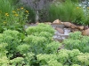 Landscape Waterfall